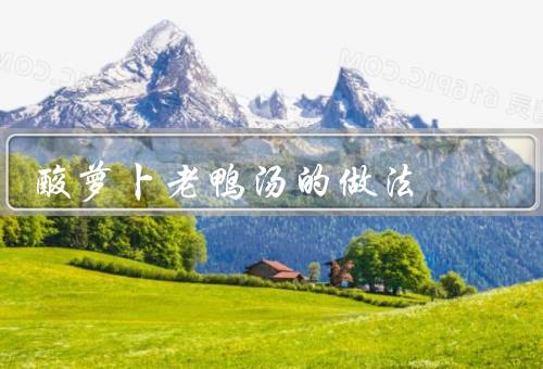 酸萝卜老鸭汤的做法