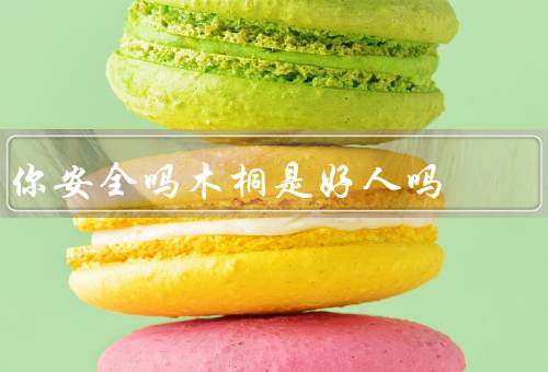 你安全吗木桐是好人吗