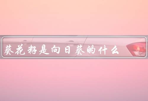 葵花籽是向日葵的什么？果实（可供食用和油用）