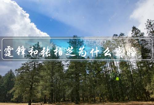 谢霆锋和张柏芝为什么离婚