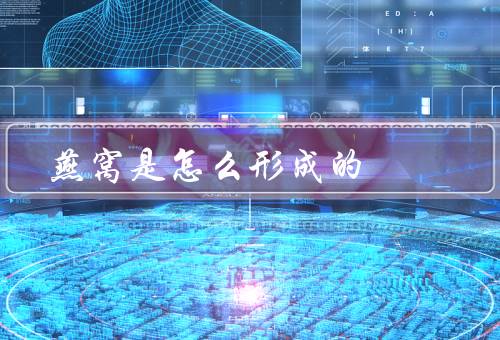 燕窝是怎么形成的