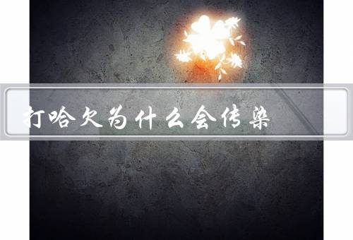 打哈欠为什么会传染