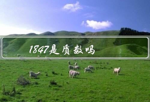 1847是质数吗