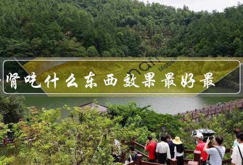 补肾吃什么东西效果最好最