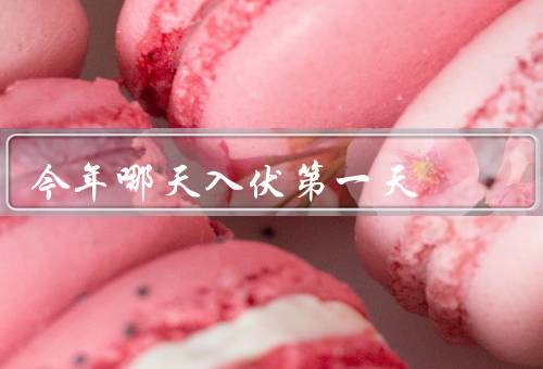 今年哪天入伏第一天