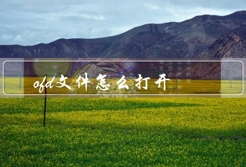 ofd文件怎么打开
