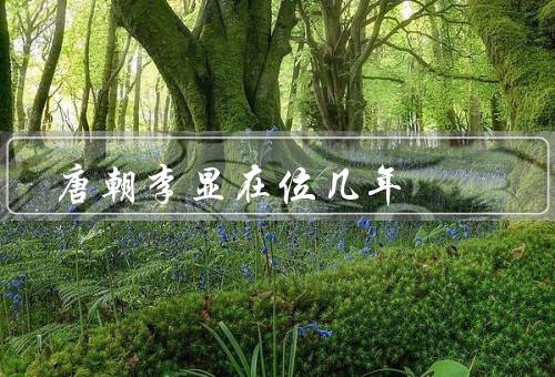 唐朝李显在位几年