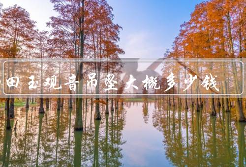和田玉观音吊坠大概多少钱，没有固定价格（受质地／设计等影响）