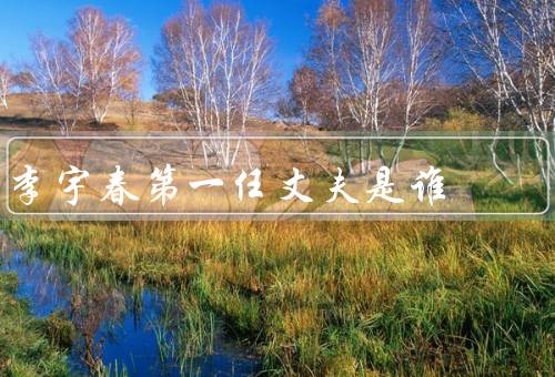 李宇春第一任丈夫是谁