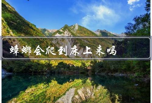 蟑螂会爬到床上来吗
