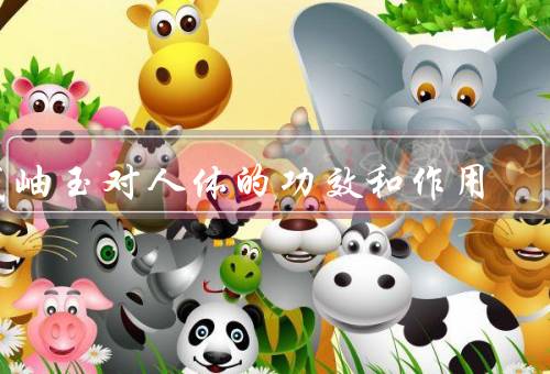 戴岫玉对人体的功效和作用