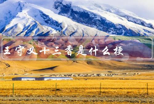 王守义十三香是什么梗