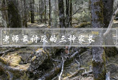 老师最讨厌的三种家长