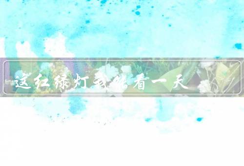 这红绿灯我能看一天