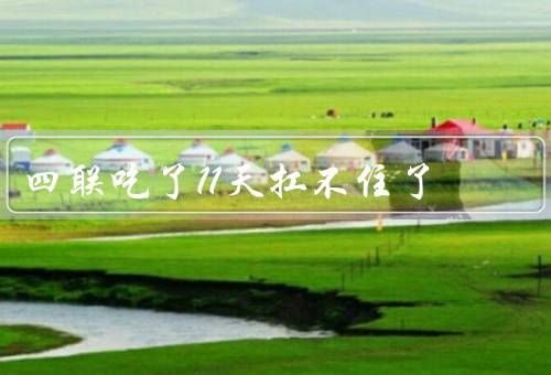 四联吃了11天扛不住了