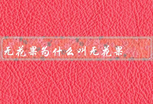 无花果为什么叫无花果