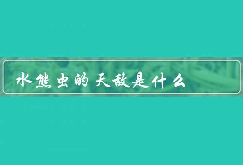 水熊虫的天敌是什么