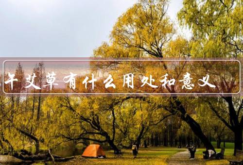 端午艾草有什么用处和意义