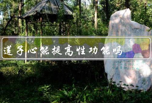 莲子心能提高性功能吗