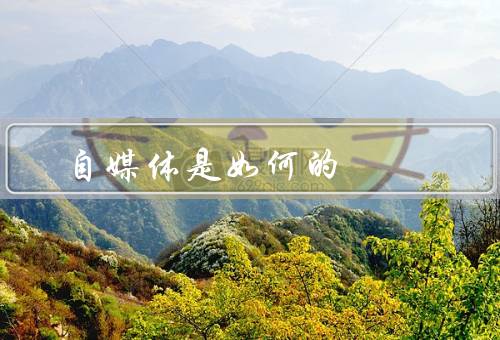 自媒体是如何的