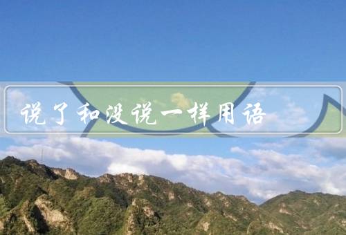 说了和没说一样用语