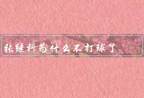 张继科为什么不打球了