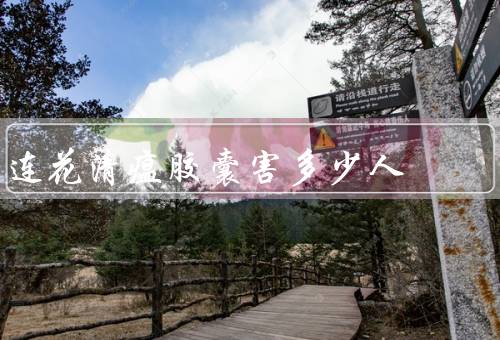 连花清瘟胶囊害多少人