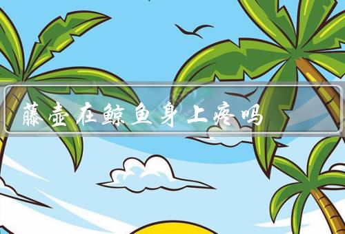 藤壶在鲸鱼身上疼吗