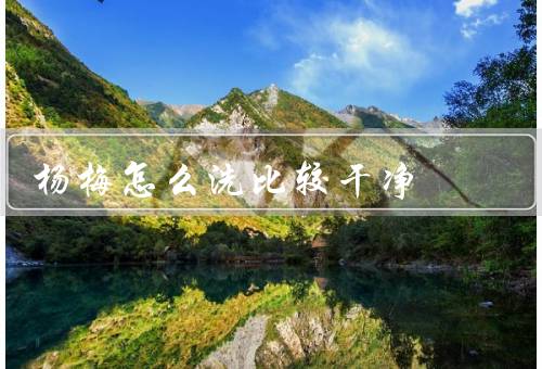 杨梅怎么洗比较干净