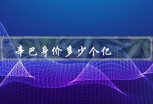 辛巴身价多少个亿