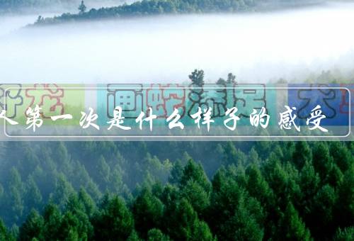 女人第一次是什么样子的感受
