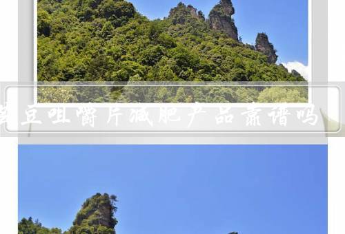 白芸豆咀嚼片减肥产品靠谱吗