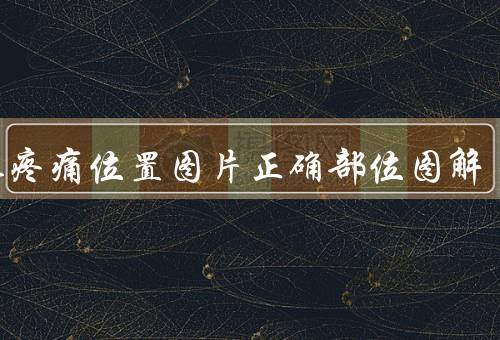 胰腺疼痛位置图片正确部位图解，上腹部还会放射至腰背（易误诊）