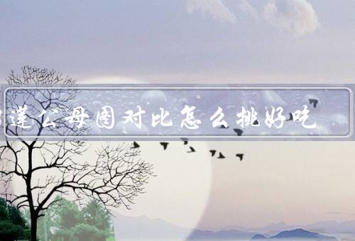 榴莲公母图对比怎么挑好吃
