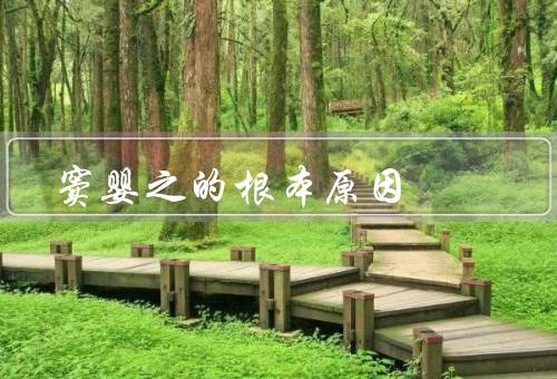 窦婴之的根本原因