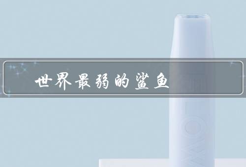 世界最弱的鲨鱼