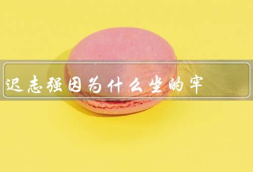 迟志强因为什么坐的牢