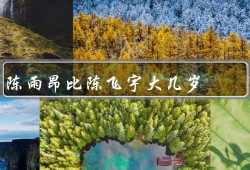 陈雨昂比陈飞宇大几岁
