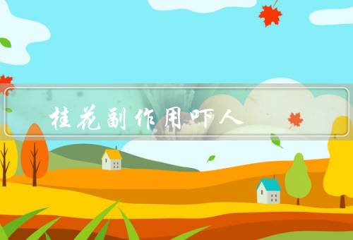 桂花副作用吓人