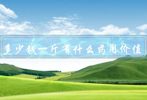 虫草多少钱一斤有什么药用价值