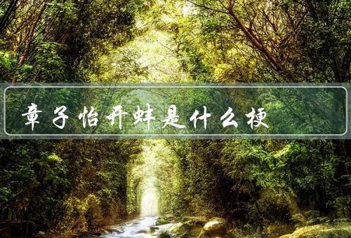 章子怡开蚌是什么梗