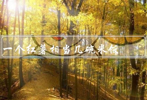 一个红薯相当几碗米饭