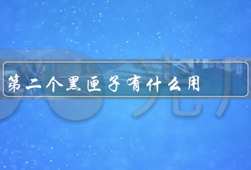 第二个黑匣子有什么用