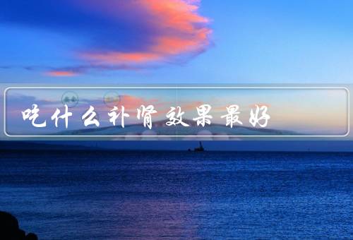 吃什么补肾效果最好