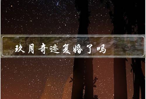 玖月奇迹复婚了吗