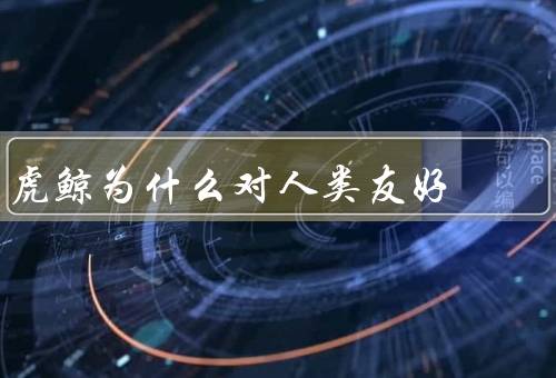 虎鲸为什么对人类友好