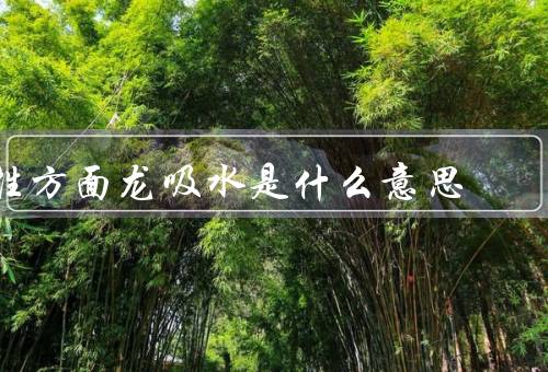 性方面龙吸水是什么意思