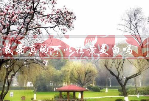 黄芪霜真的可以祛黄美白吗