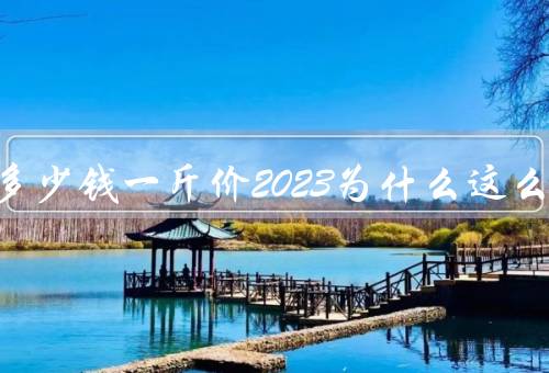帝王蟹多少钱一斤价2023为什么这么贵