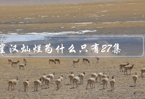 星汉灿烂为什么只有27集